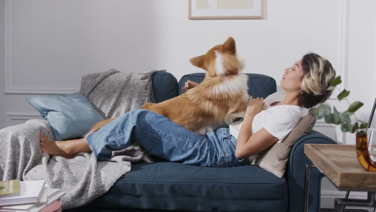 A pet owner playing with her dog at home